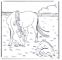 Cheval et poulain