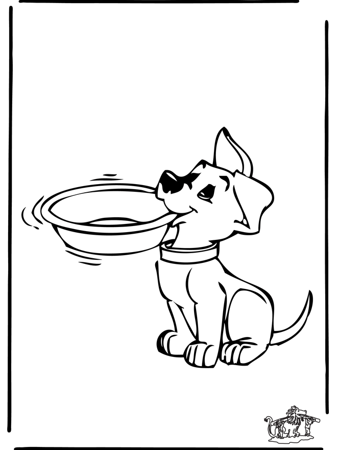 Chien 5