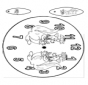 Horloge kangourou