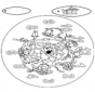 Horloge printemps