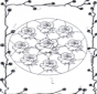 Mandala  rose