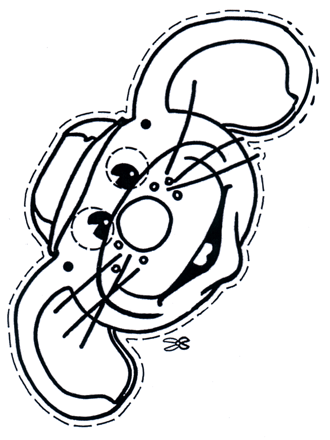 Masque de souris
