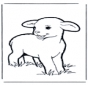 Petit Agneau 1