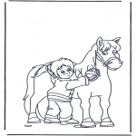 Coloriages d'animaux - Brosse le cheval