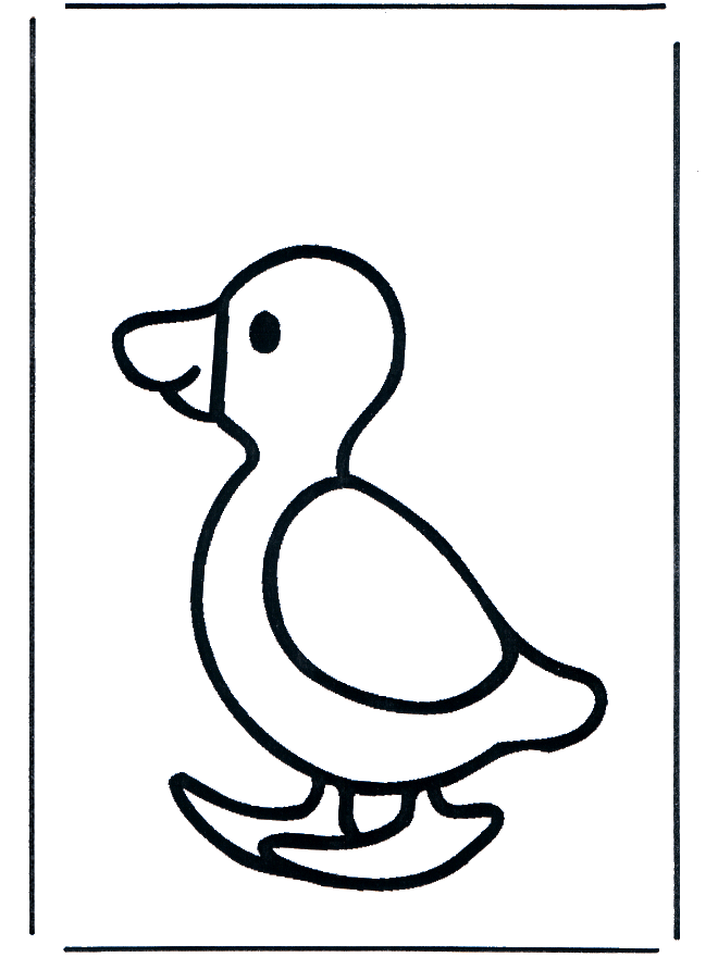 Canard 1 - Oiseaux