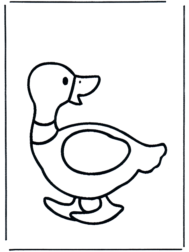 Canard 2 - Oiseaux