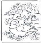 Coloriages d'animaux - Canards