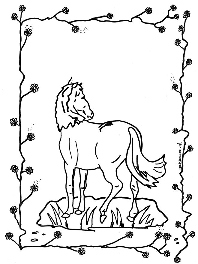 Cheval 2 - Chevaux