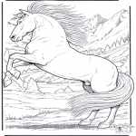 Coloriages d'animaux - Cheval 5