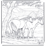 Coloriages d'animaux - Cheval 6