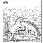 Coloriages d'animaux - Cheval 6