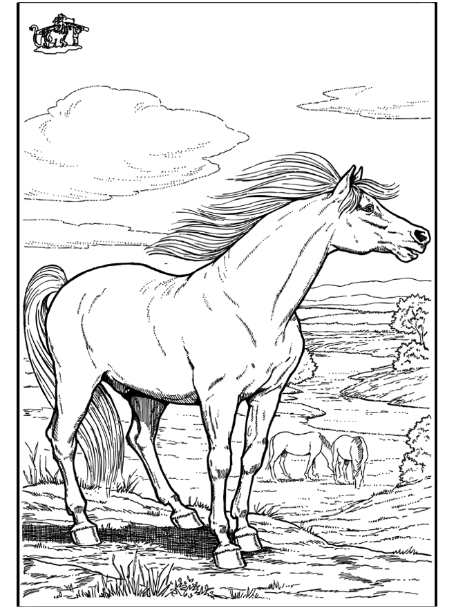 Cheval 9 - Chevaux