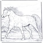 Coloriages d'animaux - Cheval au galop