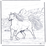 Coloriages d'animaux - Cheval dans leau