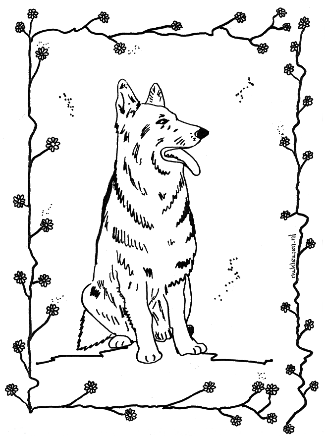 Chien 4 - Coloriages Animaux de la ferme