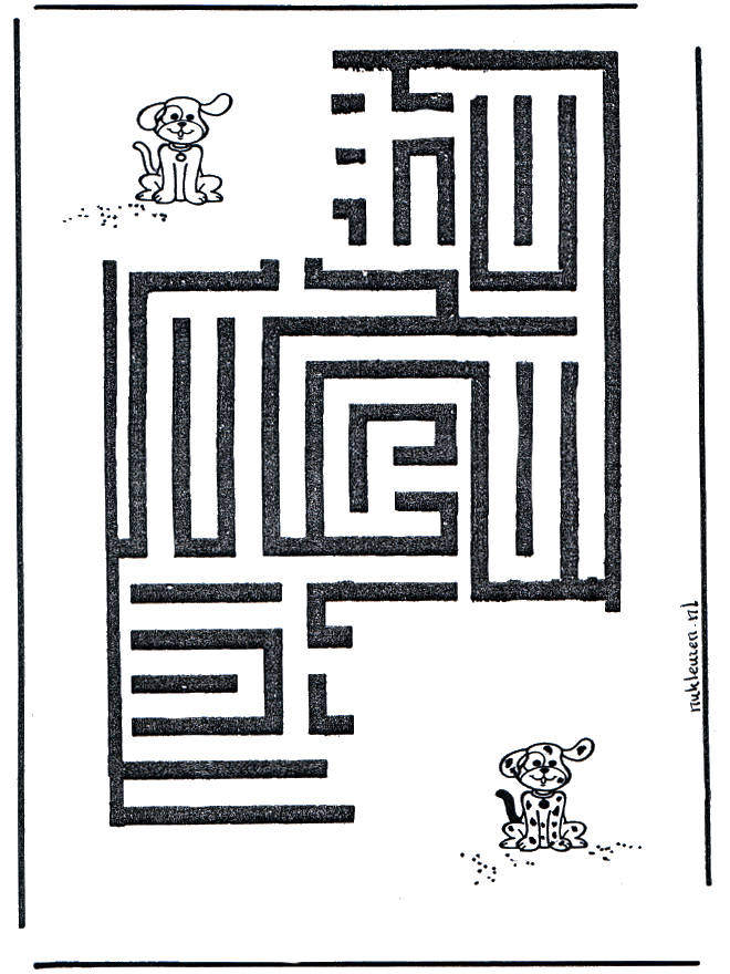 Chien labyrinthe - Labyrinthe