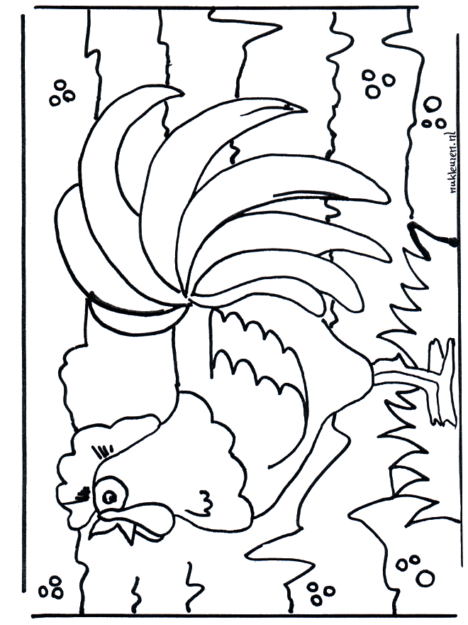 Coq - Coloriages Animaux de la ferme