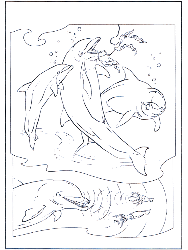 Dauphin 2 - Coloriages Dauphins et animaux maritimes