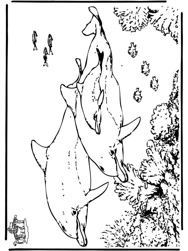 Dauphin 5 - Coloriages Dauphins et animaux maritimes