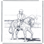 Coloriages d'animaux - Dressage