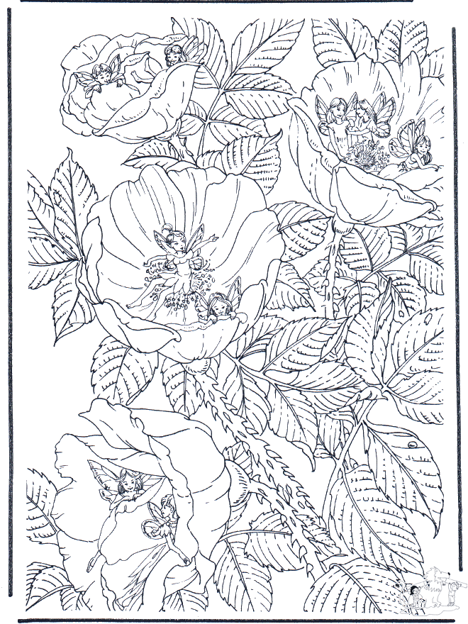 Elfes sur des fleurs - Coloriages Elfes