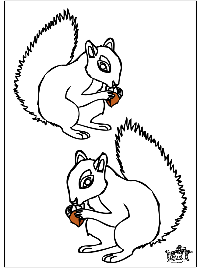 Esquilo 4 - Coloriages Rongeurs