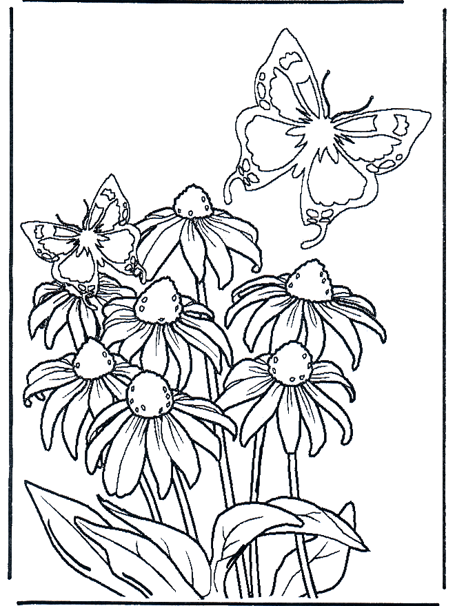 Fleur et papillon - Coloriages Fleurs