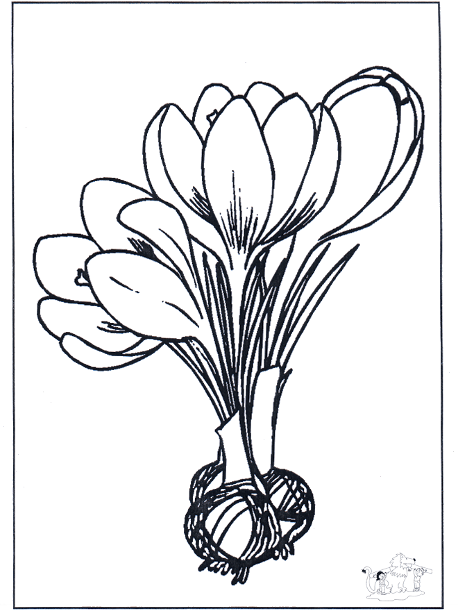 Fleurs 1 - Coloriages Fleurs