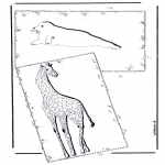 Coloriages d'animaux - Giraffe et phoque