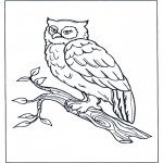 Coloriages d'animaux - Hibou sur une branche