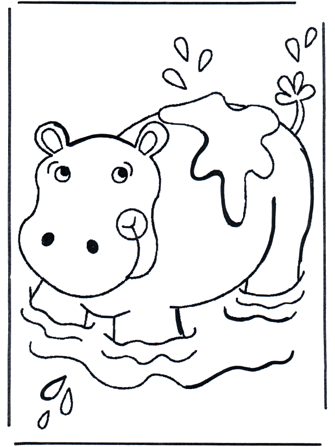 Hippopotame dans leau - Zoo