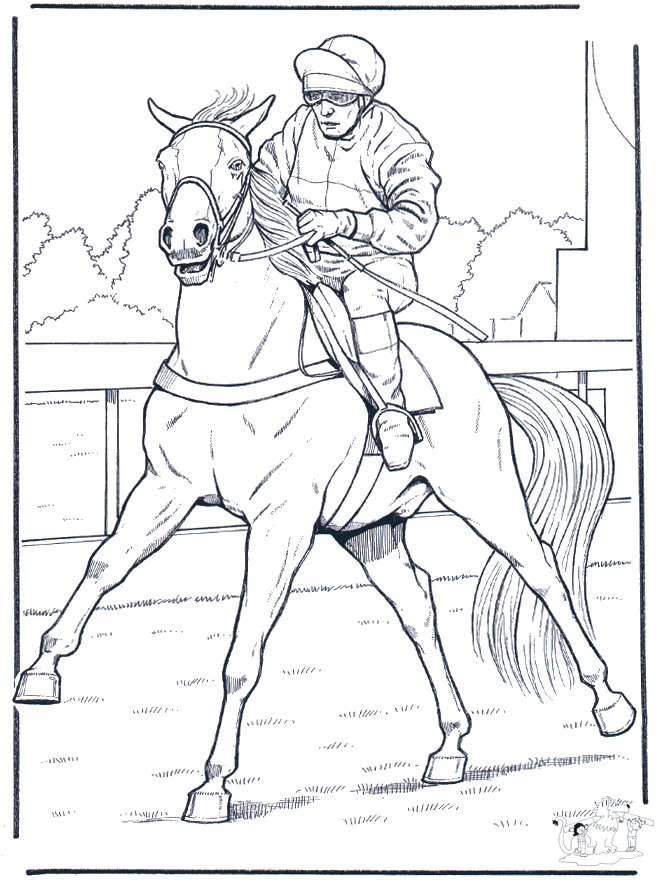 Jockey à cheval - Chevaux