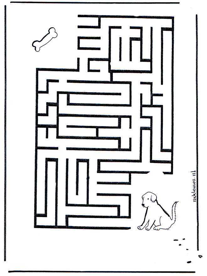 Labyrinthe chien - Labyrinthe
