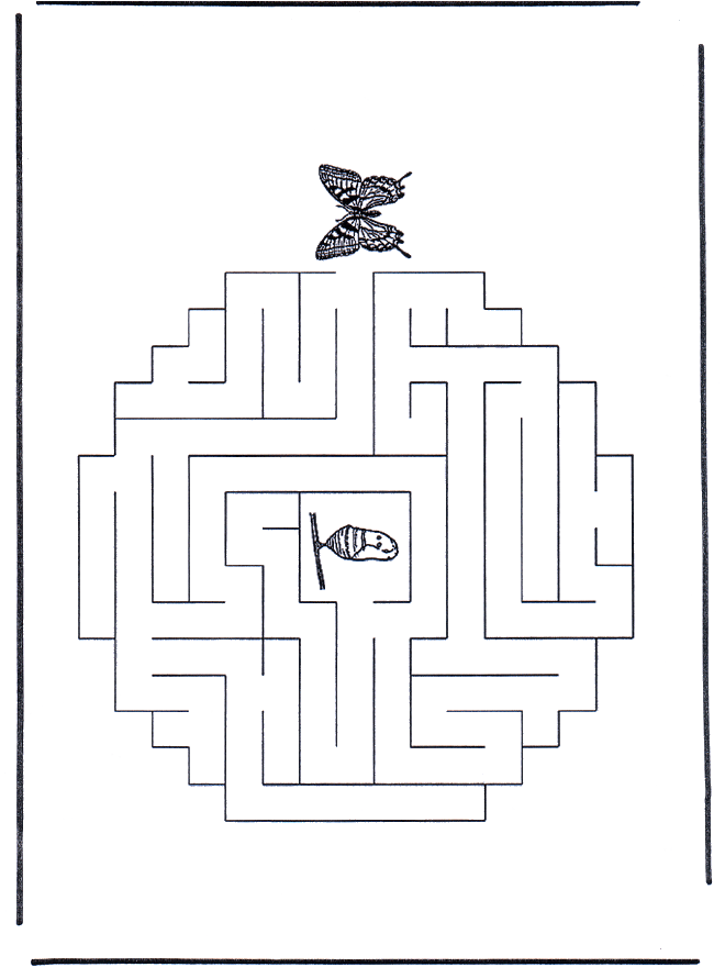 Labyrinthe papillon - Labyrinthe