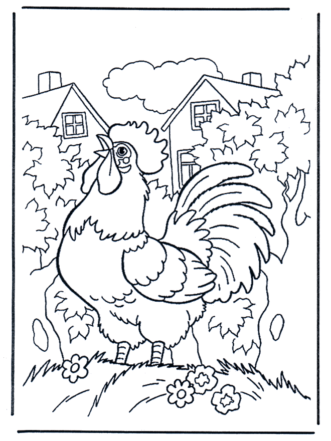 Le cocque - Coloriages Animaux de la ferme