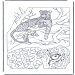 Coloriages d'animaux - Léopard 1