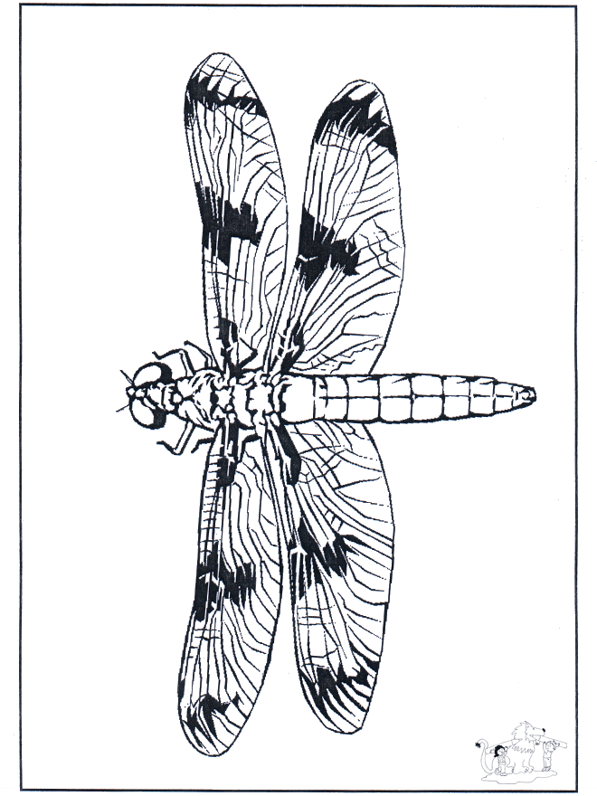 Libellule 2 - Coloriages insectes