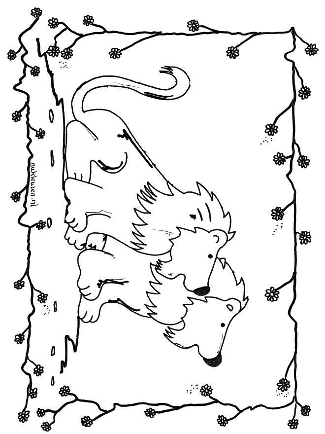 Lions 6 - Coloriages Chats