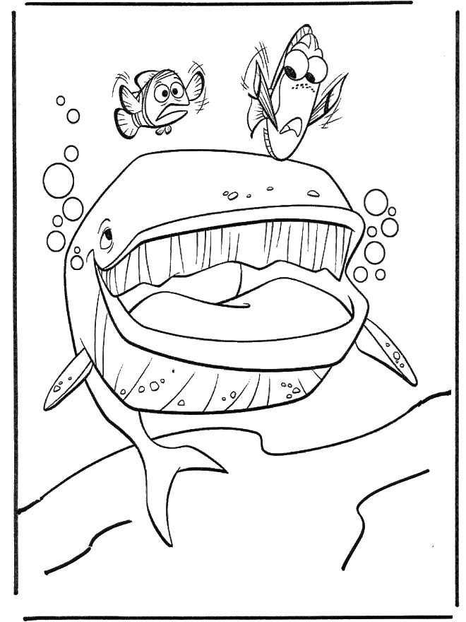 Marlin et Dory - Coloriages Nemo
