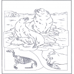 Coloriages d'animaux - Otaries