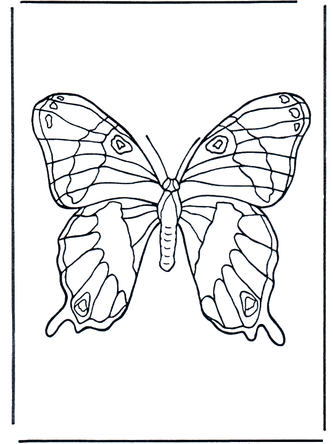 Papillon 1 - Coloriages insectes