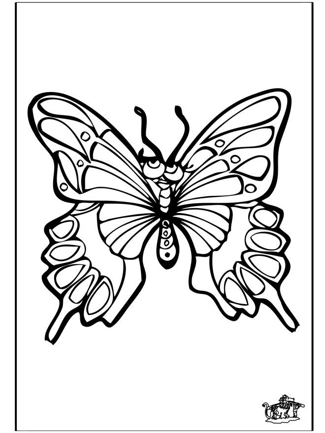 Papillon 4 - Coloriages insectes