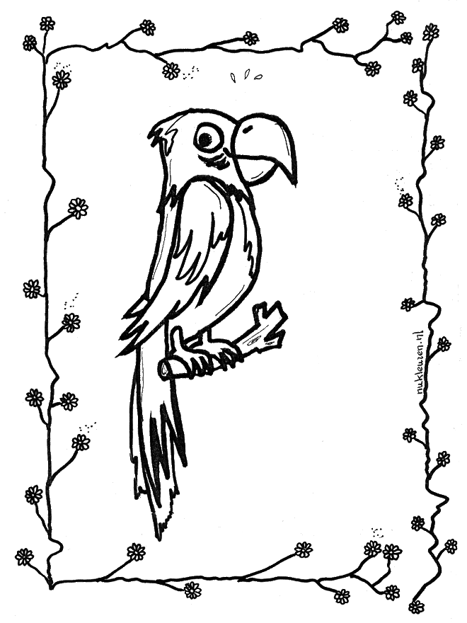 Perroquet assis sur un perchoir - Oiseaux