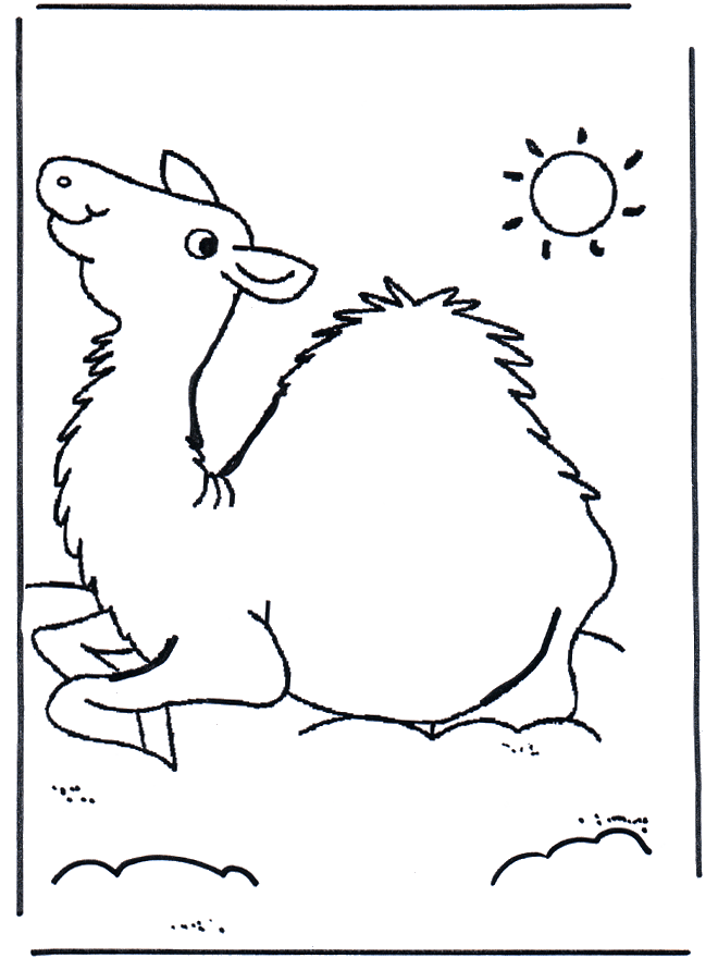 Petit chameau - Coloriages animaux