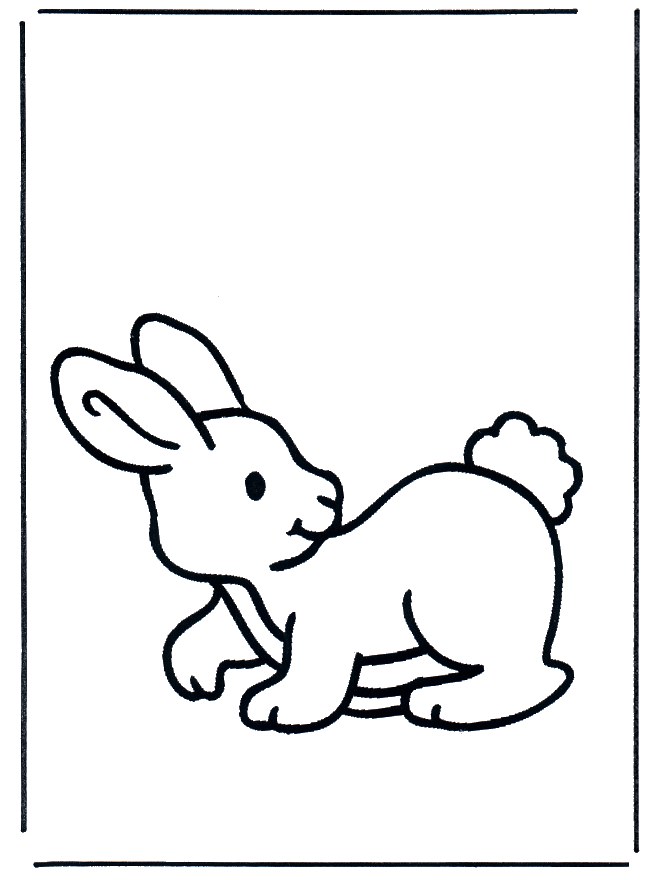 Petit lapin