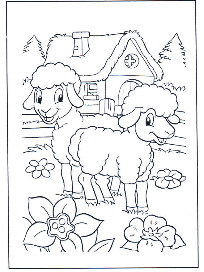 Petits moutons - Coloriages animaux