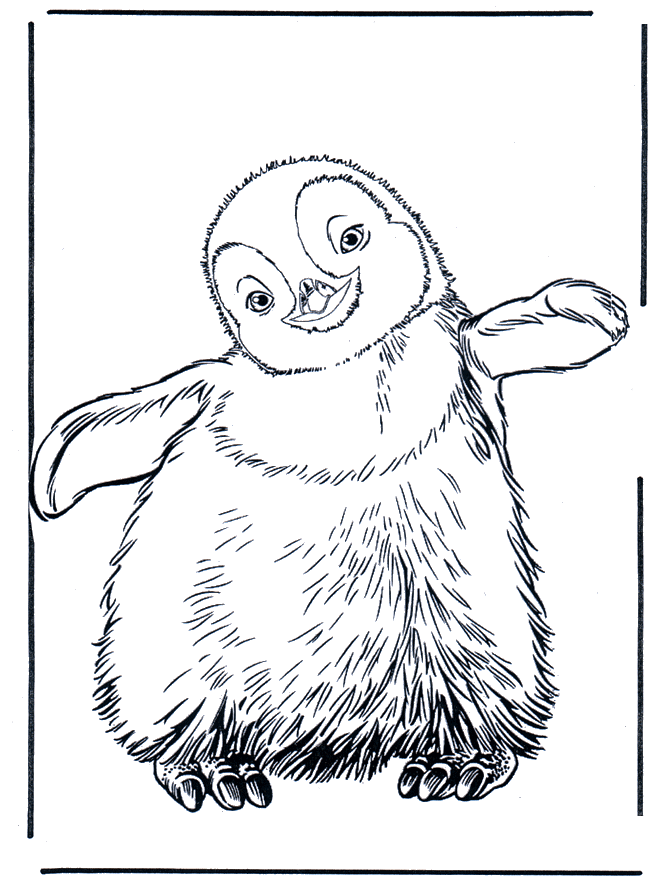 Pingouin 3 - Zoo