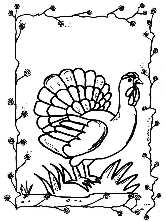 Poule 2 - Coloriages Animaux de la ferme