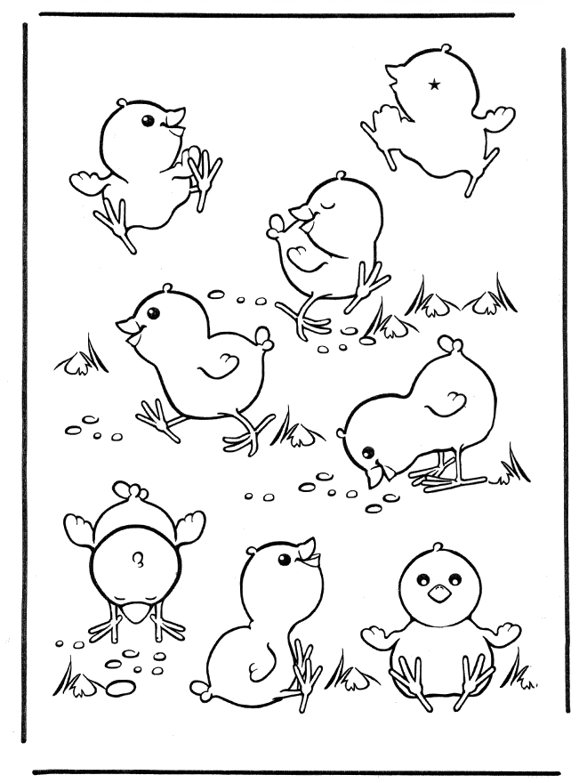 Poussins - Coloriages Animaux de la ferme