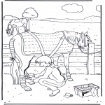 Coloriages d'animaux - Soins du cheval